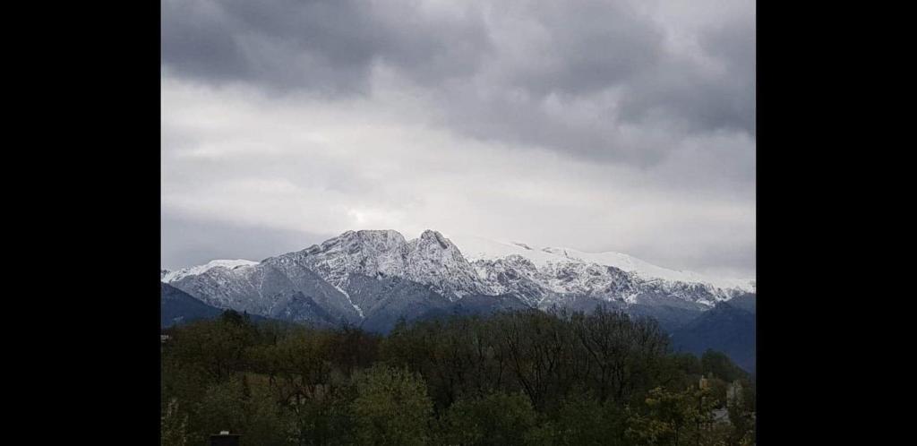 Apartamenty Magiczny Kącik - 13