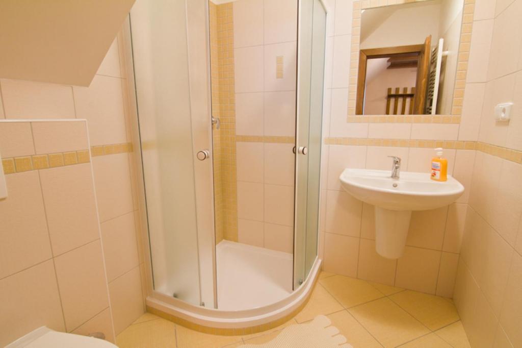 łazienka z prysznicem i umywalką w obiekcie Apartmány Udatný w Rokitnicach nad Izerą