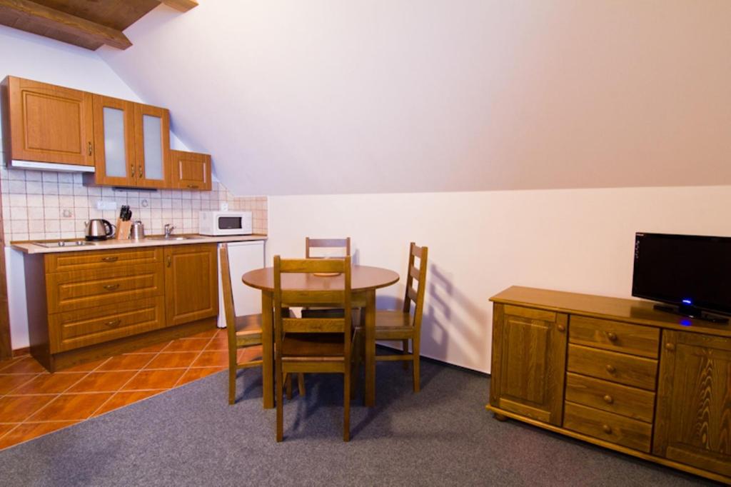 Kuchnia lub aneks kuchenny w obiekcie Apartmány Udatný