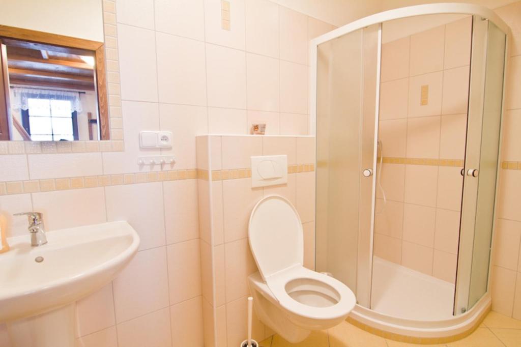 łazienka z prysznicem, toaletą i umywalką w obiekcie Apartmány Udatný w Rokitnicach nad Izerą