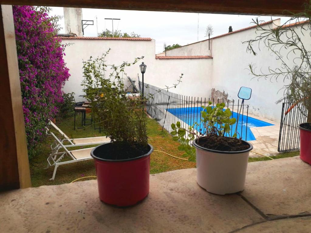 Bazén v ubytování Tanino Guest House nebo v jeho okolí