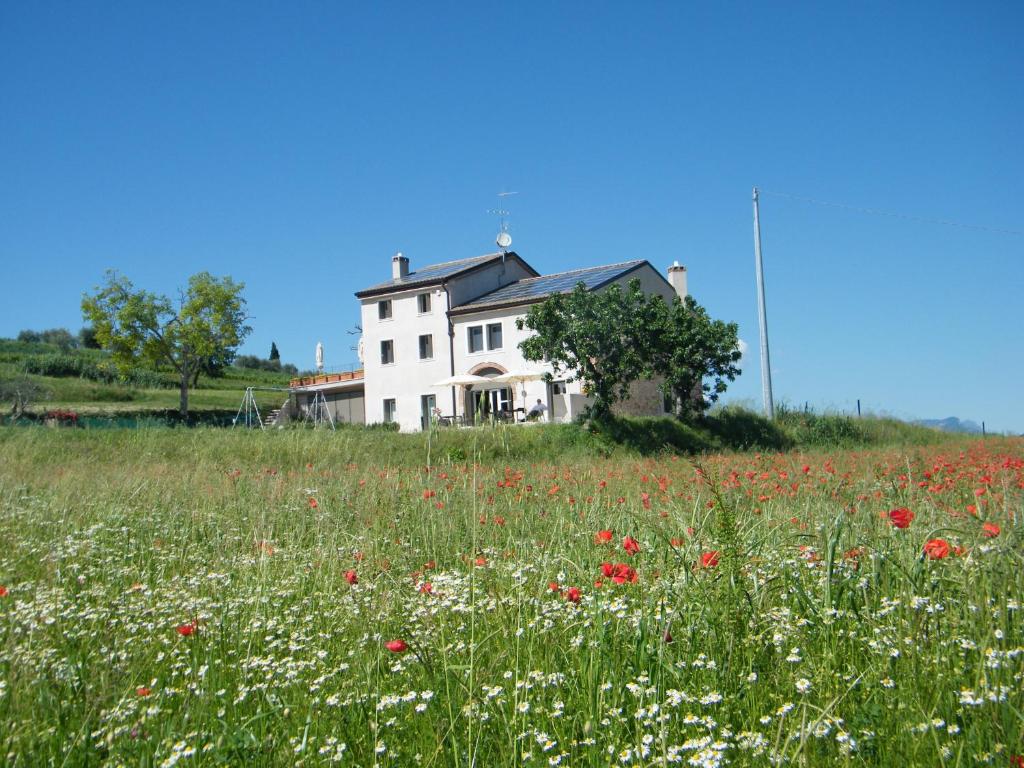 a house on a hill with a field of flowers at Bed & Breakfast Le Coste in Lazise