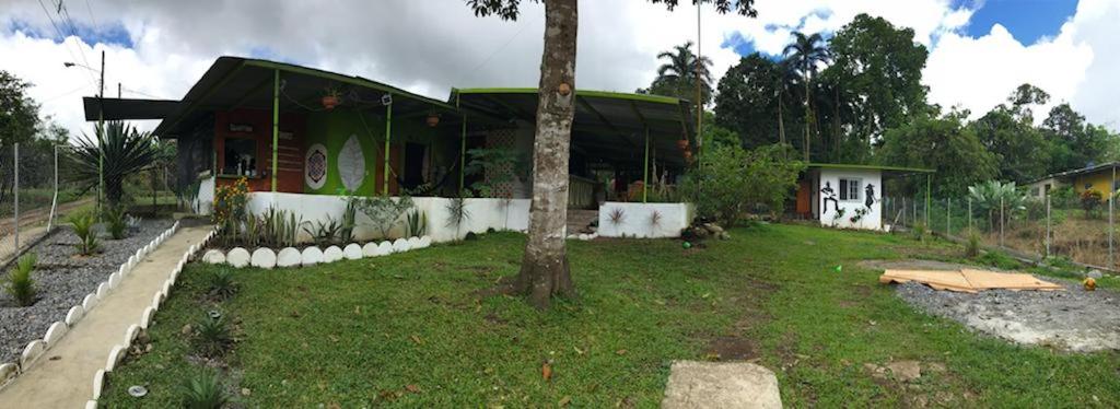 a house with a tree in front of it at Soursop Hostel in Cueta