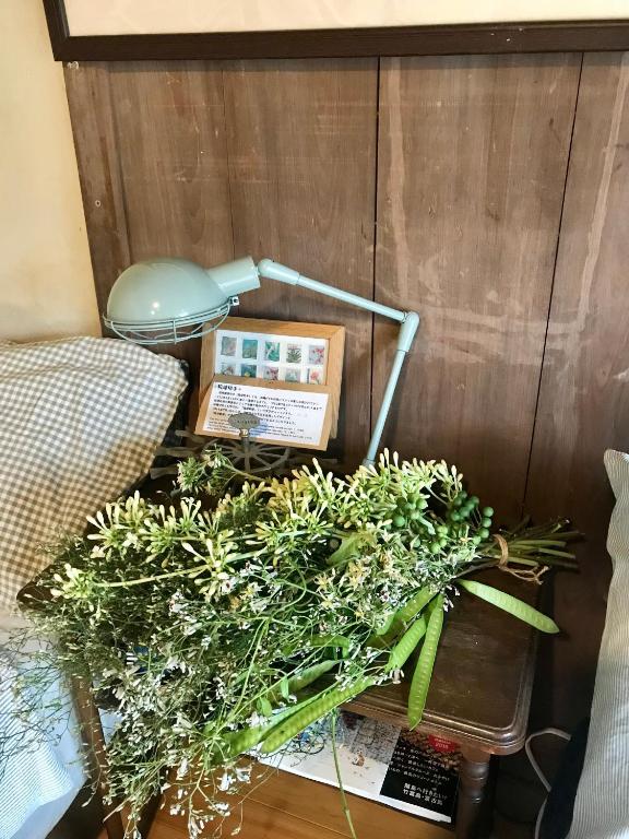 a table with a phone and some plants on it at Travelers House おーさんてぃん青空舎 in Taketomi