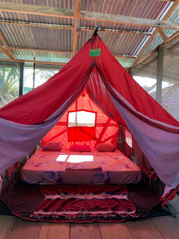 Hostal Camping La Y Griega, Bocas del Toro – opdaterede priser for 2022