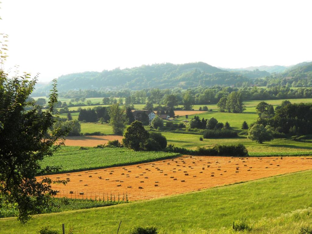 Un campo con un montón de pájaros dentro. en Farm Stay Kramer en Bistrica ob Sotli