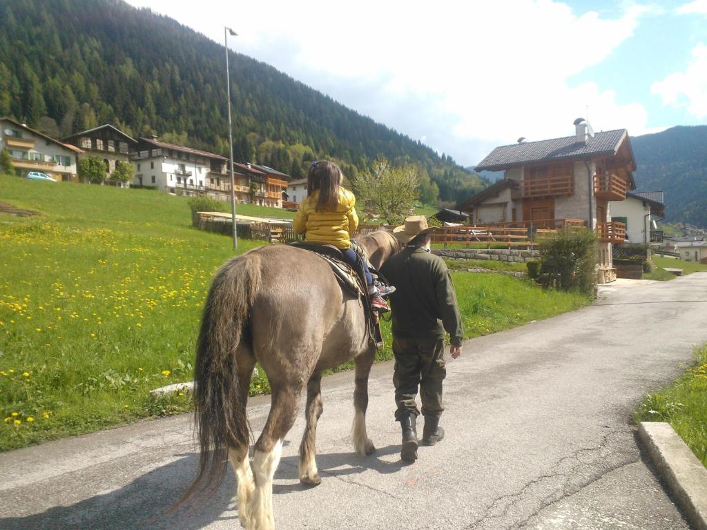 Zvířata v hotelu nebo okolí