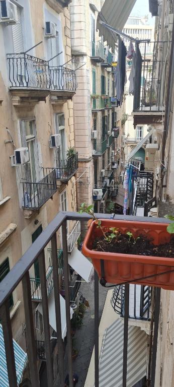 A balcony or terrace at Napoli Blu Gardenia B&B