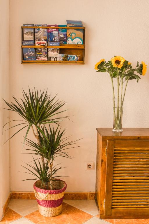 Fotografia z galérie ubytovania Hostal Jomarijo v destinácii Fuengirola