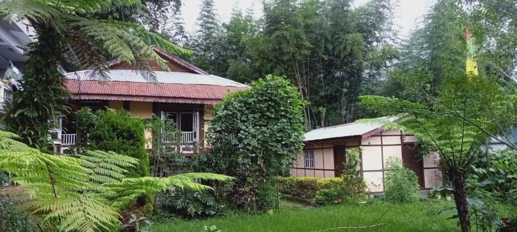 Dorjee Lee Homestay