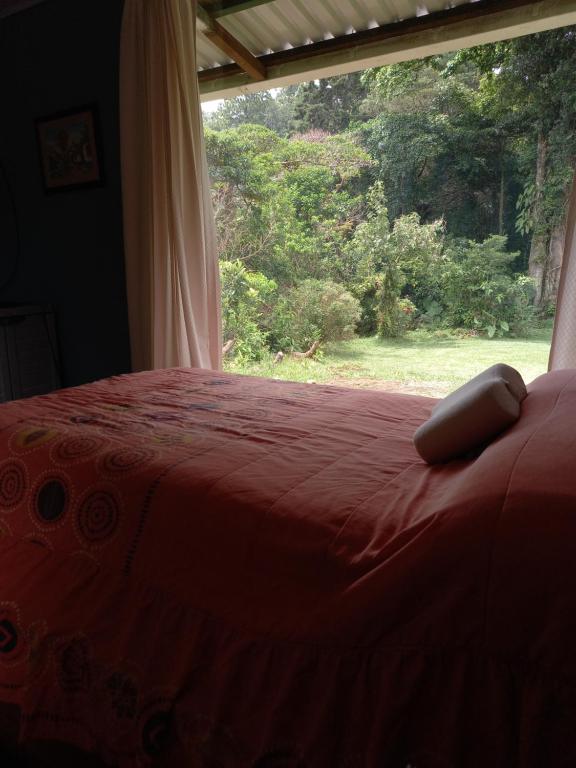 Postel nebo postele na pokoji v ubytování Suite y Loft Casa Toría