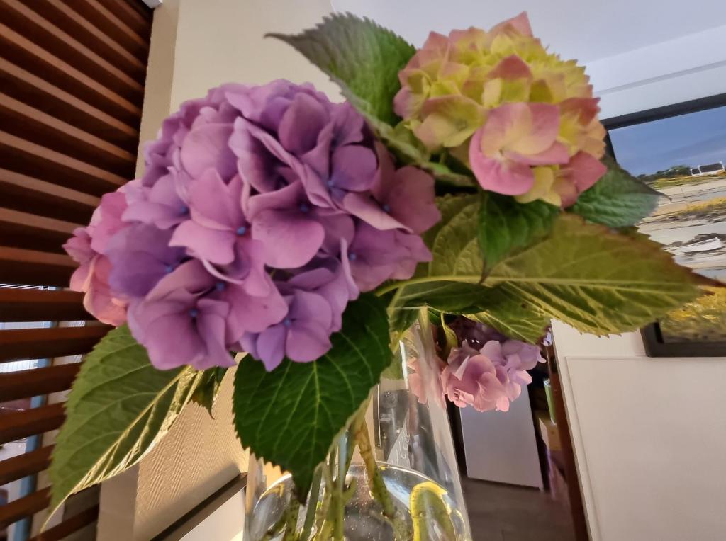 a vase with purple and yellow flowers in it at Hotel De L'Europe in Perros-Guirec
