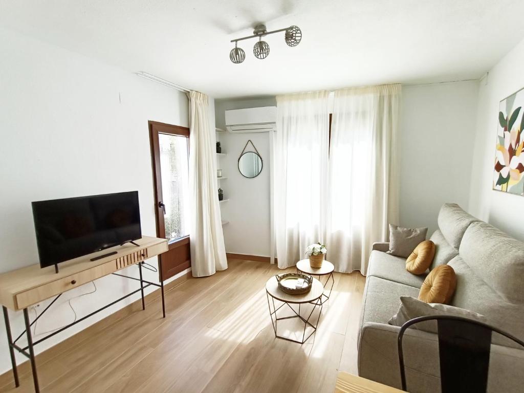 Televízia a/alebo spoločenská miestnosť v ubytovaní Casa yamur bajo la Alhambra Albaycin