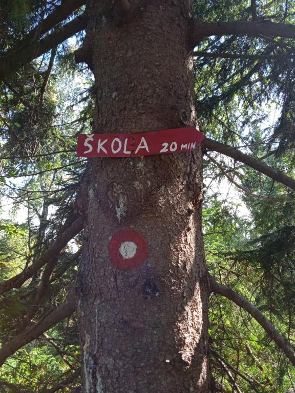 Příroda nedaleko apartmánu