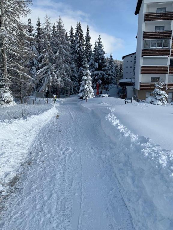 Hundefreundliche Bergwohnung neben der Skipiste - Mittelstation Skigebiet Gerlitzen v zimě