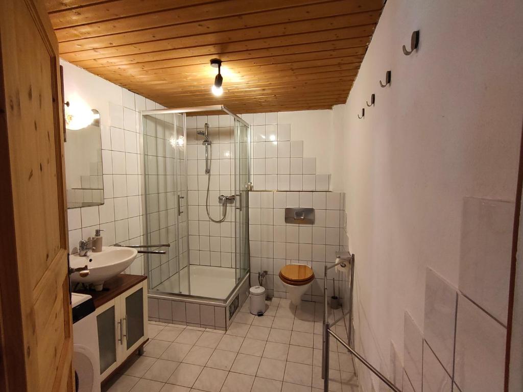 ein Badezimmer mit Dusche, Toilette und Waschbecken in der Unterkunft Gemütliche Ferienwohnung mit Kamin und Garten in Garmisch-Partenkirchen