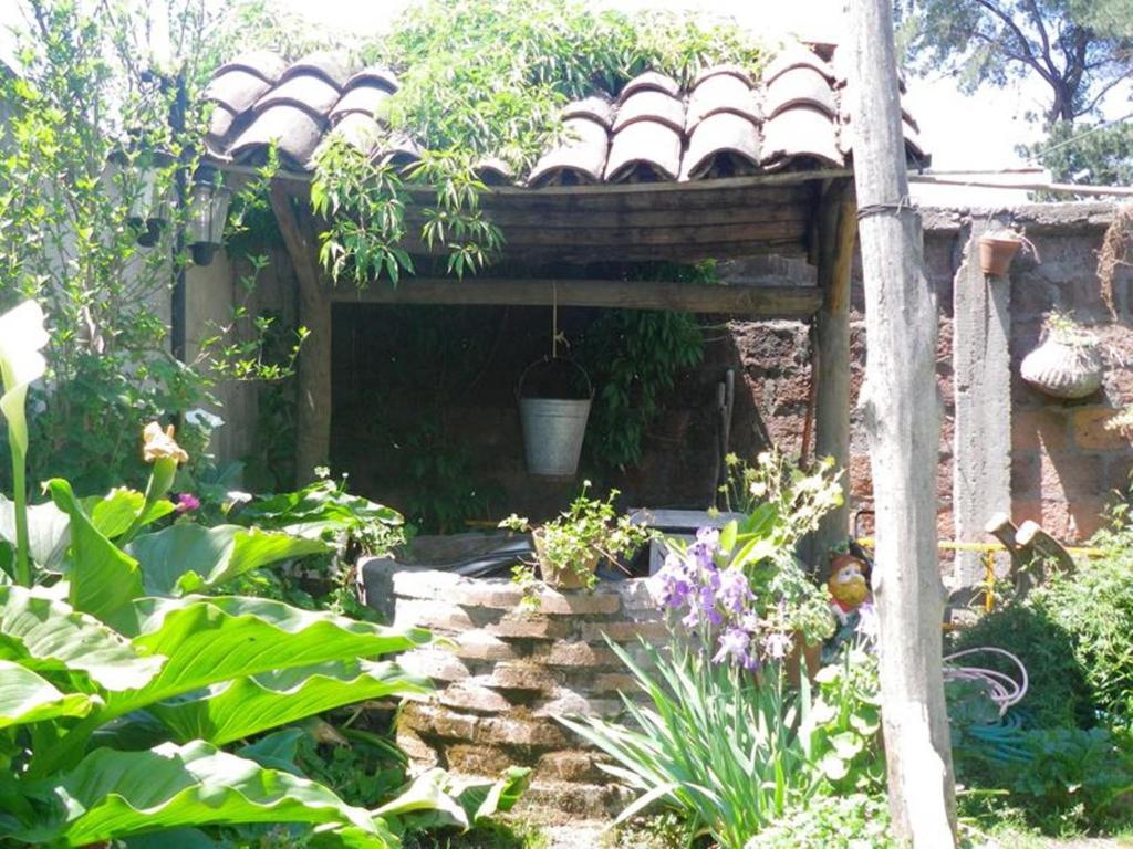 Κήπος έξω από το Hostal Renoir