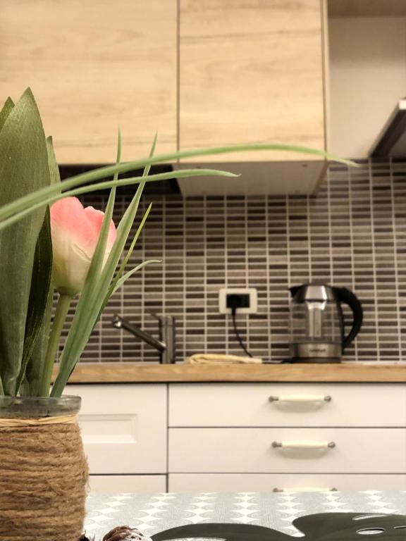 A kitchen or kitchenette at MIMI'S HOME casa per vacanze