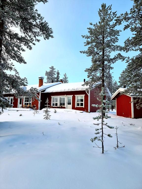 a red house in a snow covered yard with trees at Rakovalkia Apartment in Saariselka