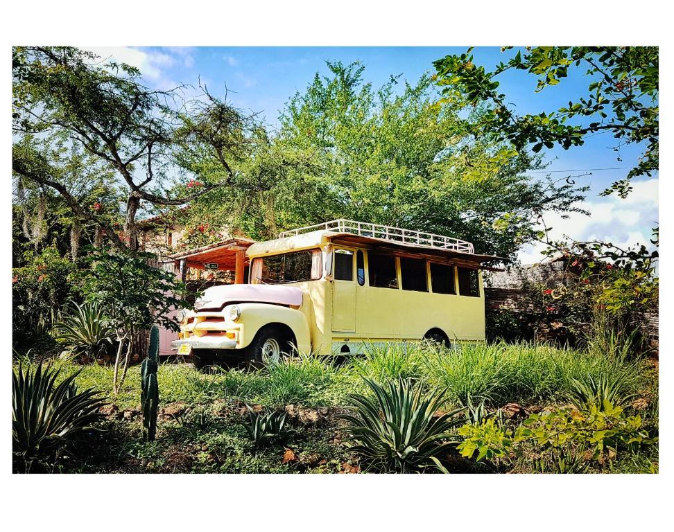 Ein gelber Bus parkt auf einem Feld in der Unterkunft CALA Guane Barichara in Guarne