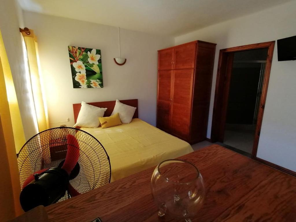 Postel nebo postele na pokoji v ubytování Terre et Mer - Studios - Ile Maurice