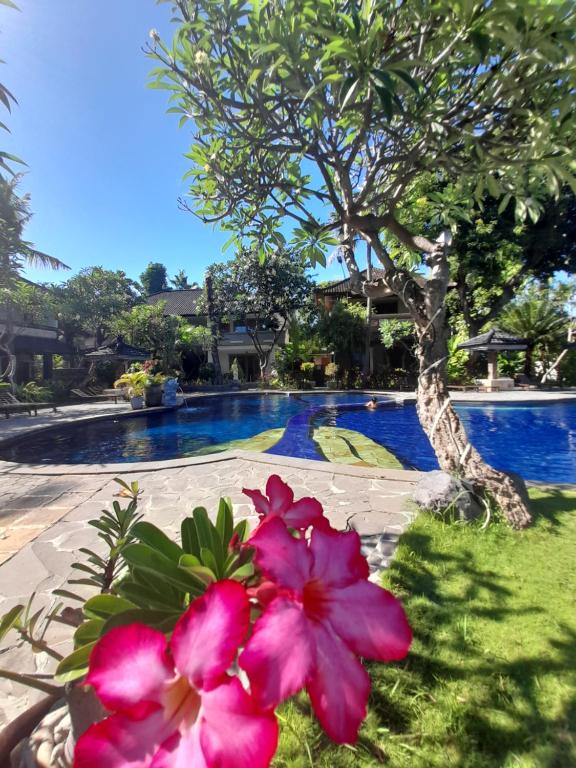 un grupo de flores rosas frente a una piscina en Puri Bali Hotel en Lovina
