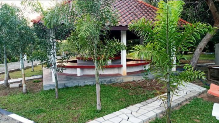Zahrada ubytování Hotel Tree Garden Wilpaththu Nochchiyagma Anuradhapura