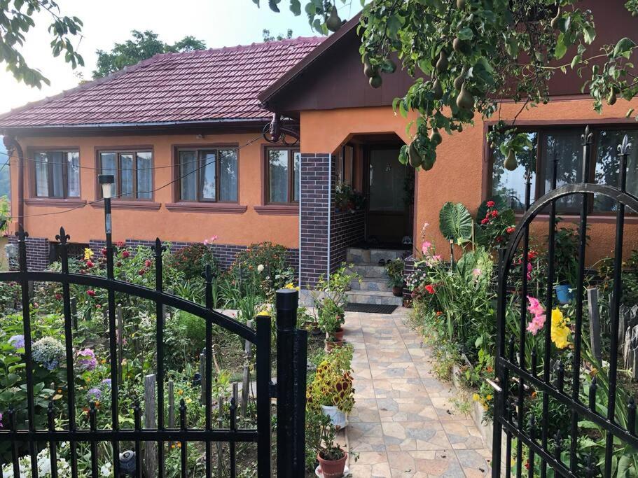 a house with a fence and a garden at Casuta Bunicilor Isverna in Isverna