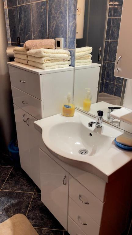 Koupelna v ubytování Apartmani d&s