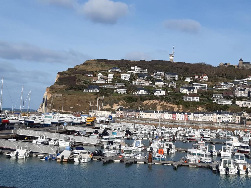 Une bande de bateaux amarrés dans un port avec une colline dans l'établissement port de fecamp, à Fécamp