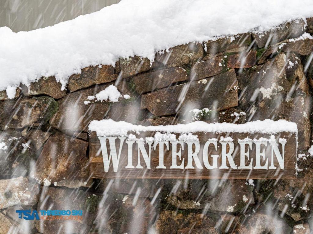 Wintergreen 5 v zimě