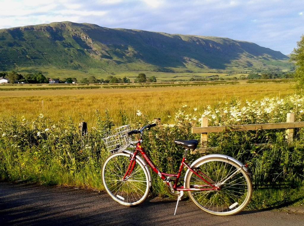 czerwony rower zaparkowany obok płotu na polu w obiekcie Dingieshowe Cottage w mieście Lennoxtown