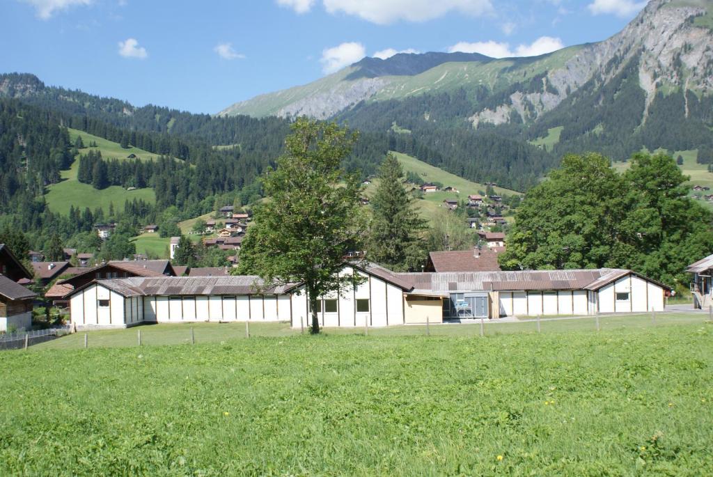 Příroda nedaleko hostelu