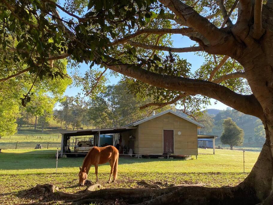 a horse grazing in a field next to a barn at Stay at the Barn... Immerse yourself in nature. in Kenilworth