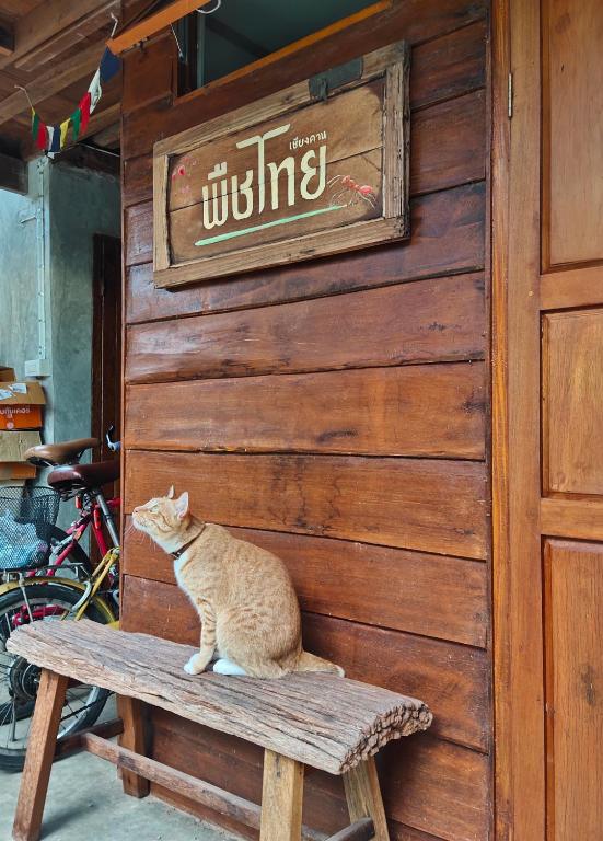 Fotografie z fotogalerie ubytování พืชไทยเชียงคาน(Plantthai) v destinaci Chiang Khan