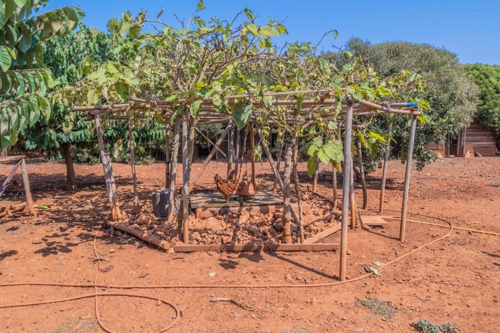 Zahrada ubytování Finca CAN LLORENC by Mallorca Villa Selection