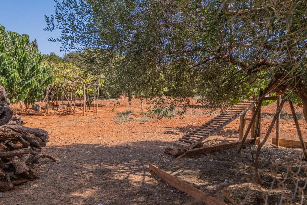 Zahrada ubytování Finca CAN LLORENC by Mallorca Villa Selection