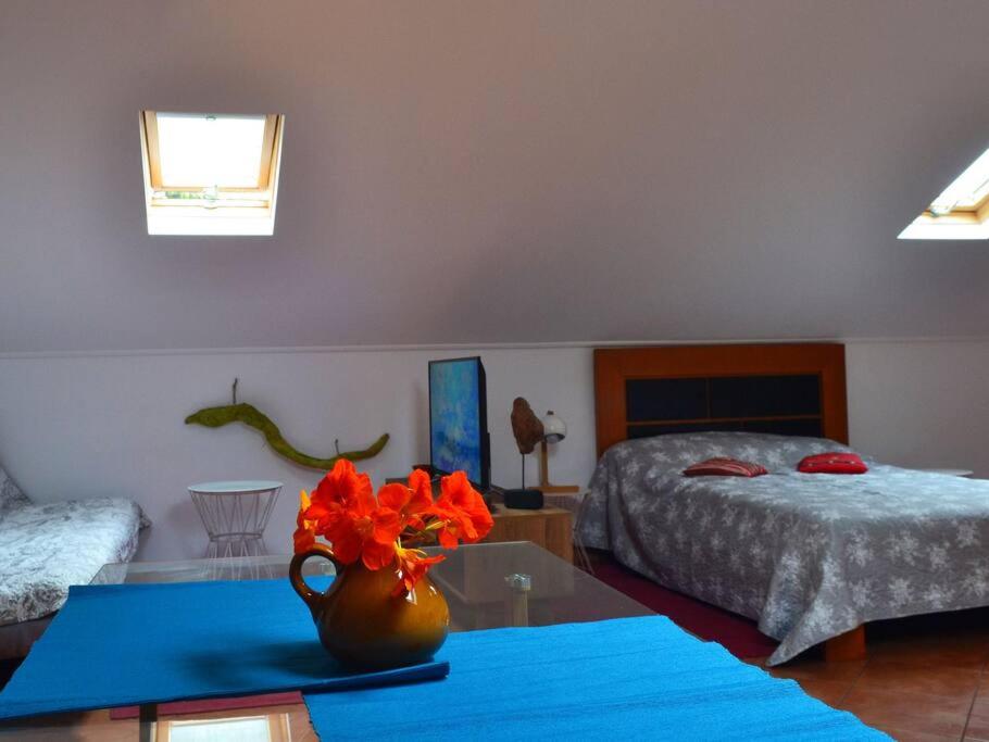 Letto o letti in una camera di Lazy Lizard Studio