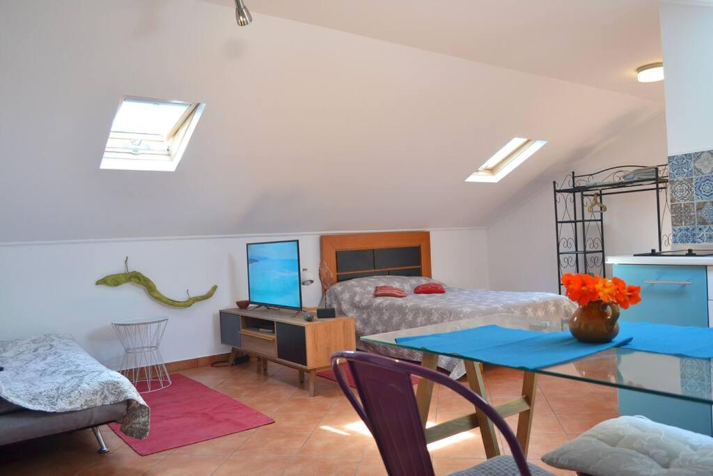 Area soggiorno di Lazy Lizard Studio