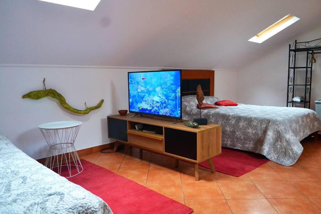 Letto o letti in una camera di Lazy Lizard Studio