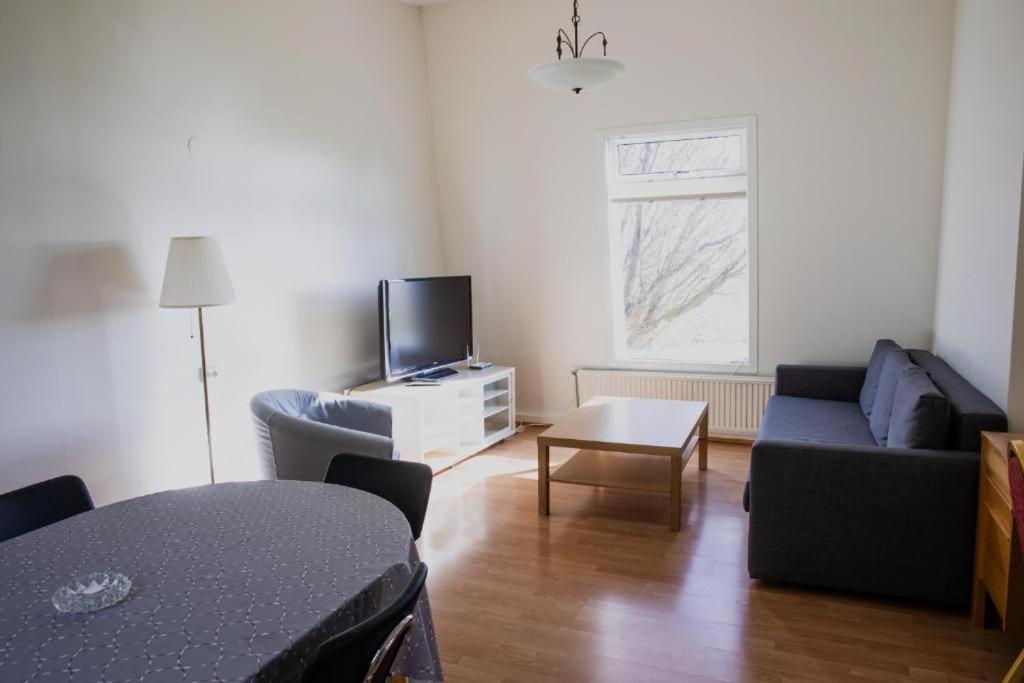 ein Wohnzimmer mit einem Sofa und einem TV in der Unterkunft Skálholt Cottages in Selfoss