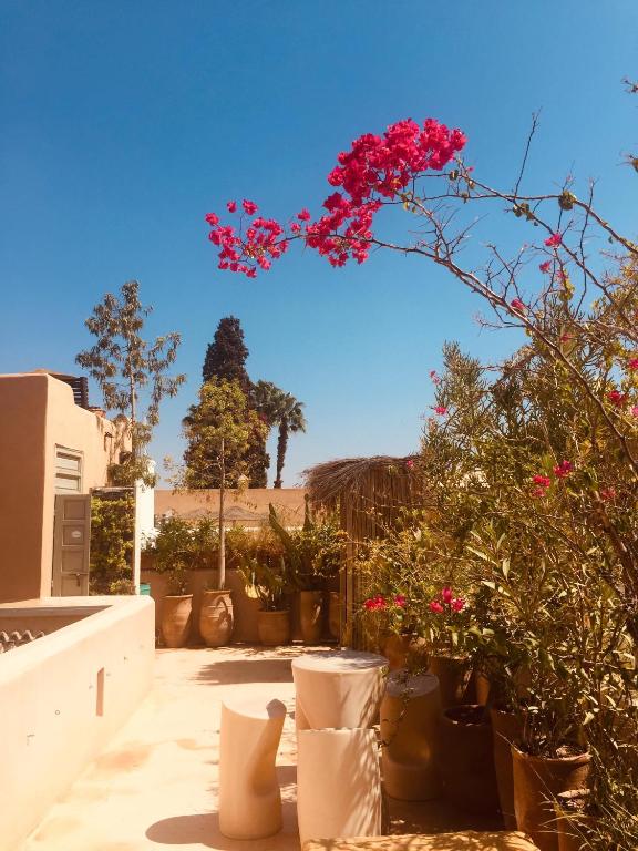 Zahrada ubytování Riad De Vinci & SPA