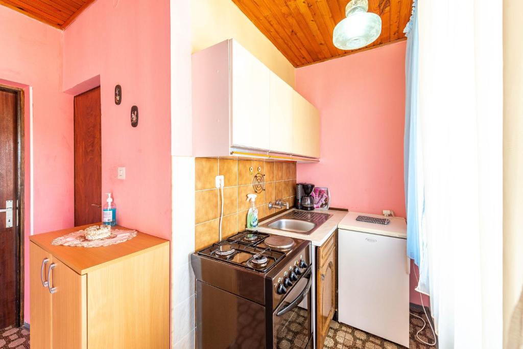 Kuchyň nebo kuchyňský kout v ubytování Apartments Danijela