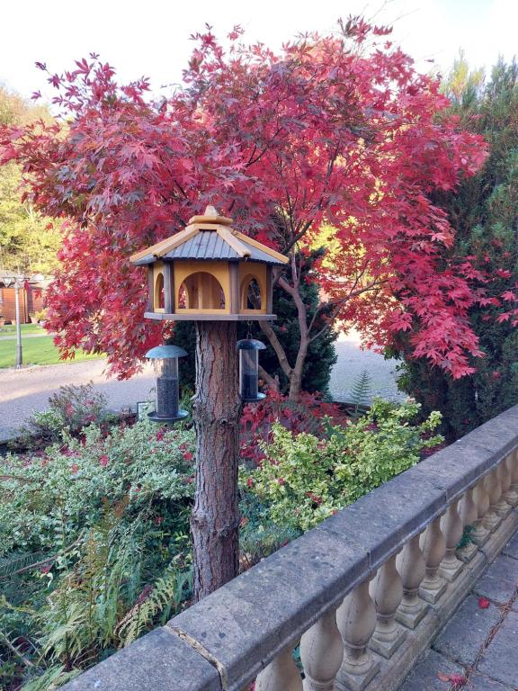 Giardino di The Steadings Log Cabins