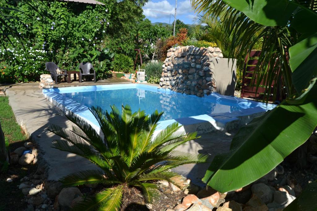 Bazén v ubytování ECOVILLA CORAL GARDEN nebo v jeho okolí