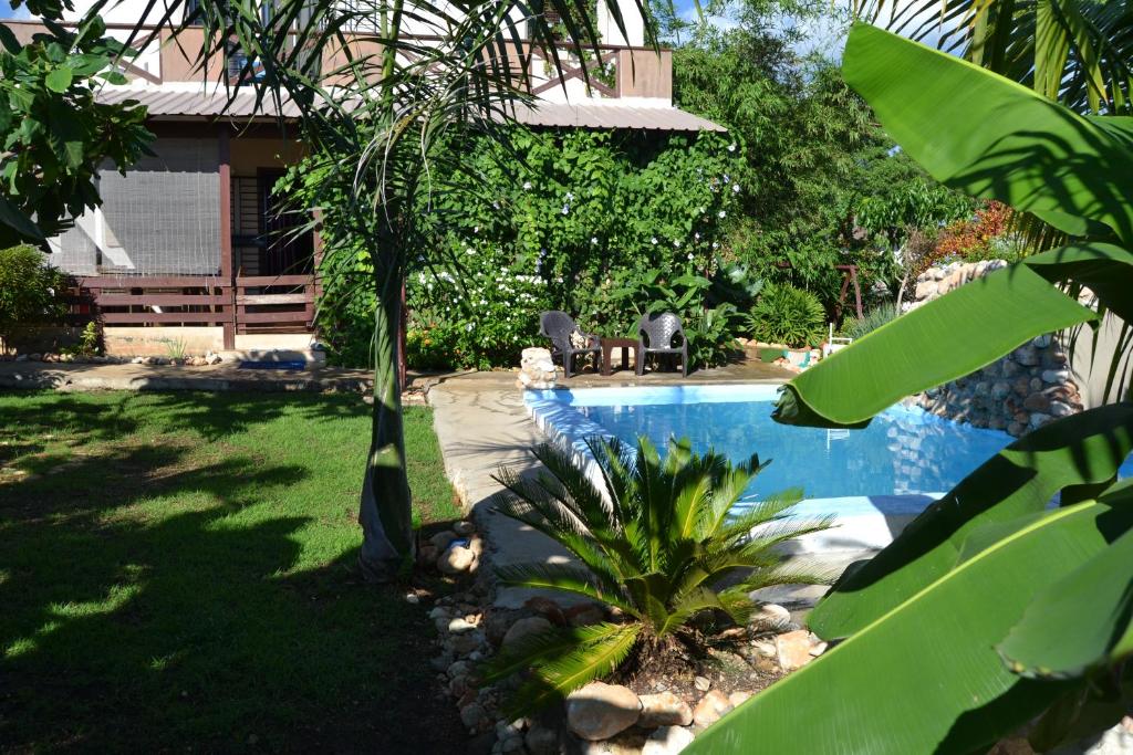 Bazén v ubytování ECOVILLA CORAL GARDEN nebo v jeho okolí