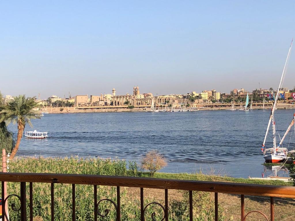 Luxor Plaza House - One-Bedroom Apartment