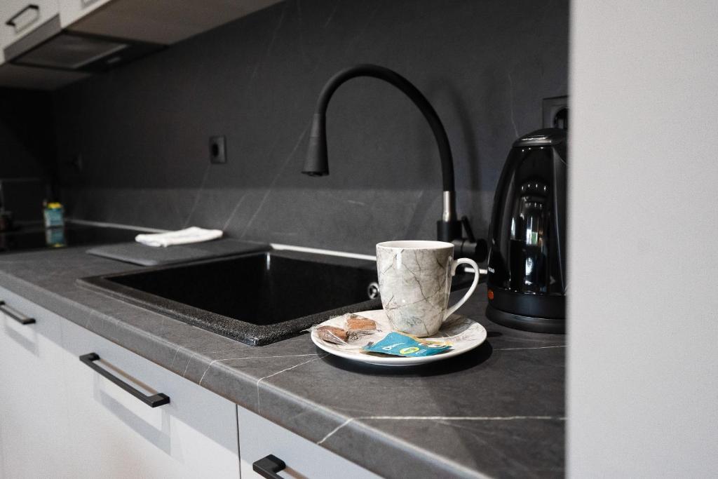 A kitchen or kitchenette at Meteora vibes