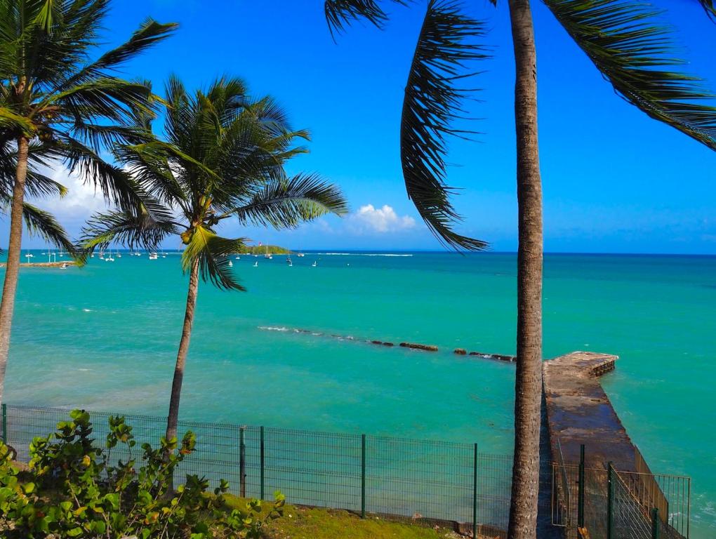una playa con palmeras y vistas al océano en Manoé, en Le Gosier