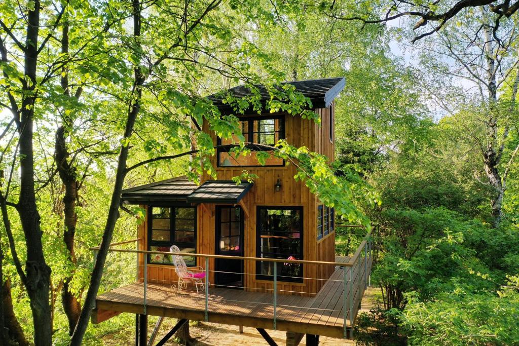 una casa en el árbol en medio del bosque en Węgiełek Treehouse, en Kazimierz Dolny